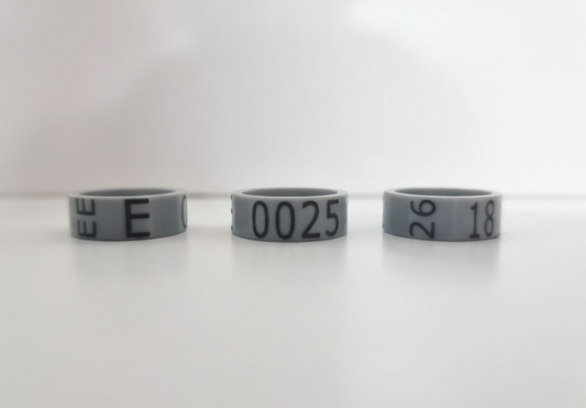 Anilla de 18 mm de plástico para gallinas.