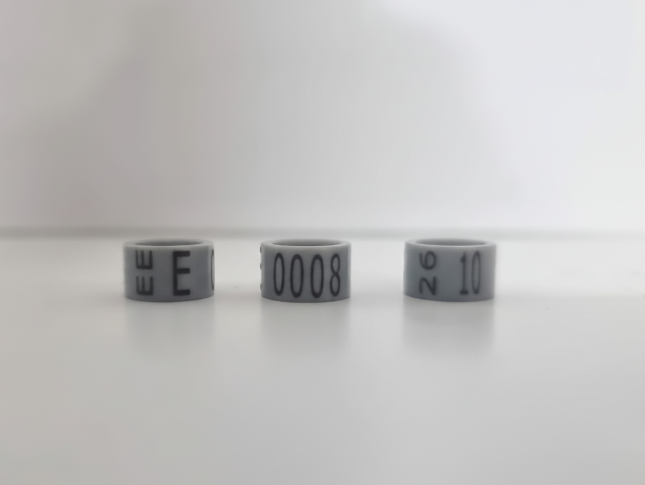 Anilla de 10 mm de plástico para gallinas.